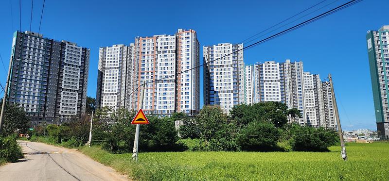 KakaoTalk_20260305_025946133_02.jpg 이미지