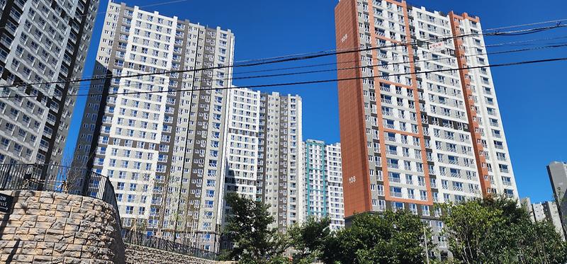 KakaoTalk_20260305_025946133_03.jpg 이미지