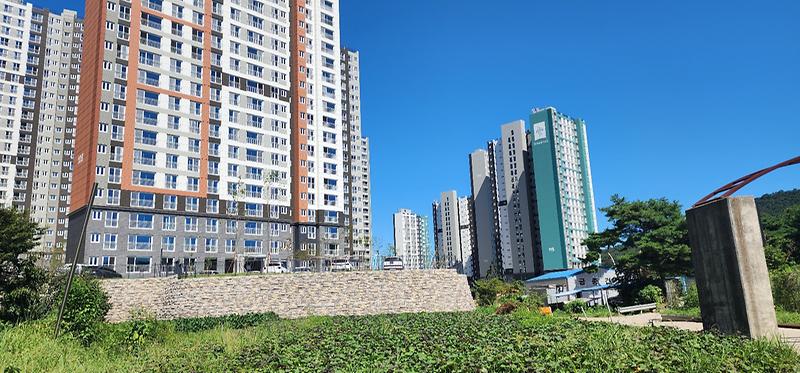KakaoTalk_20260305_025946133_10.jpg 이미지