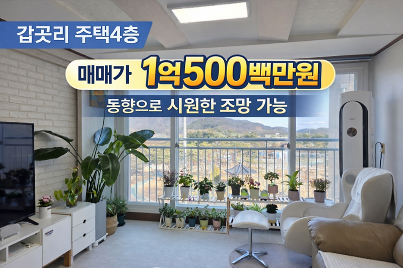 KakaoTalk_20260311_133521795.png 이미지