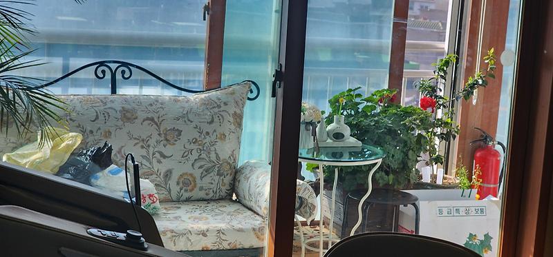 KakaoTalk_20260316_104005452_01.jpg 이미지