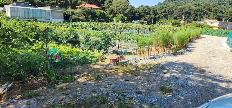 KakaoTalk_20260316_104220214_02.jpg 이미지