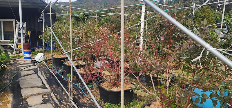 KakaoTalk_20260316_104441077_06.jpg 이미지