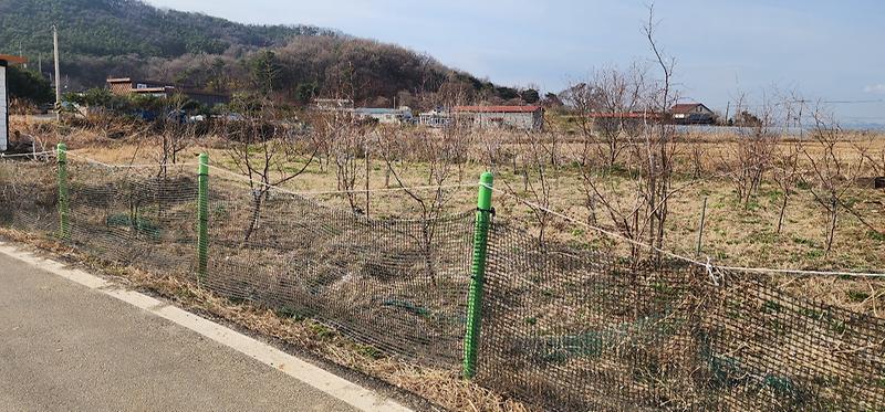 KakaoTalk_20260402_105907391_01.jpg 이미지