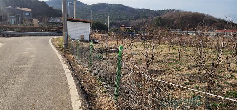KakaoTalk_20260402_105907391_02.jpg 이미지