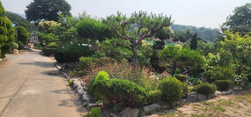 KakaoTalk_20260616_130800638_12.jpg 이미지