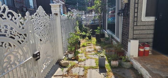 KakaoTalk_20260624_163123344_02.jpg 이미지