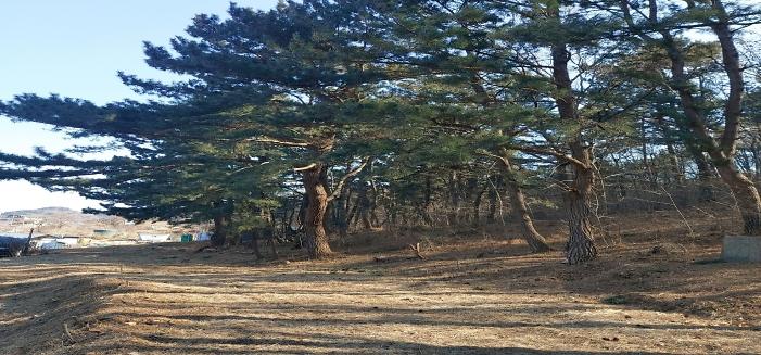 KakaoTalk_20260801_140845038_-_복사본.jpg 이미지