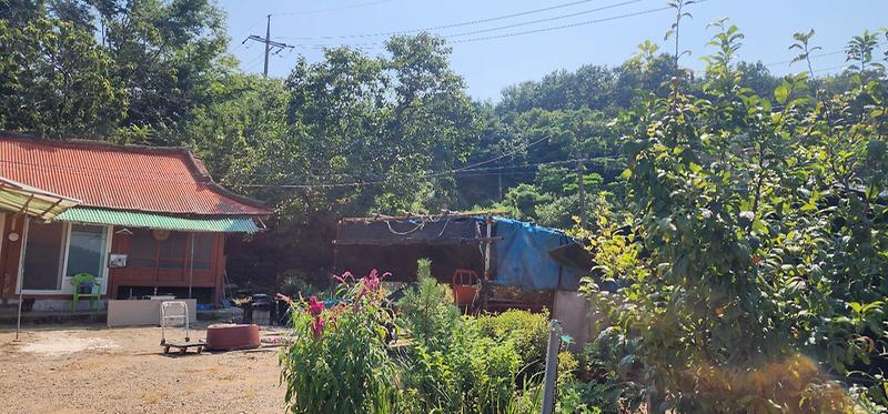 KakaoTalk_20260804_154856231_12.jpg 이미지