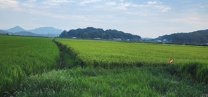 KakaoTalk_20260902_103925017_04.jpg 이미지