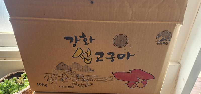 KakaoTalk_20260907_103058032_01_(1).jpg 이미지