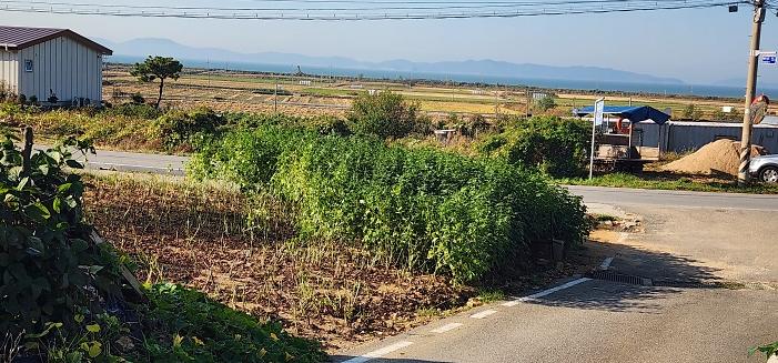KakaoTalk_20261017_121040147_02.jpg 이미지