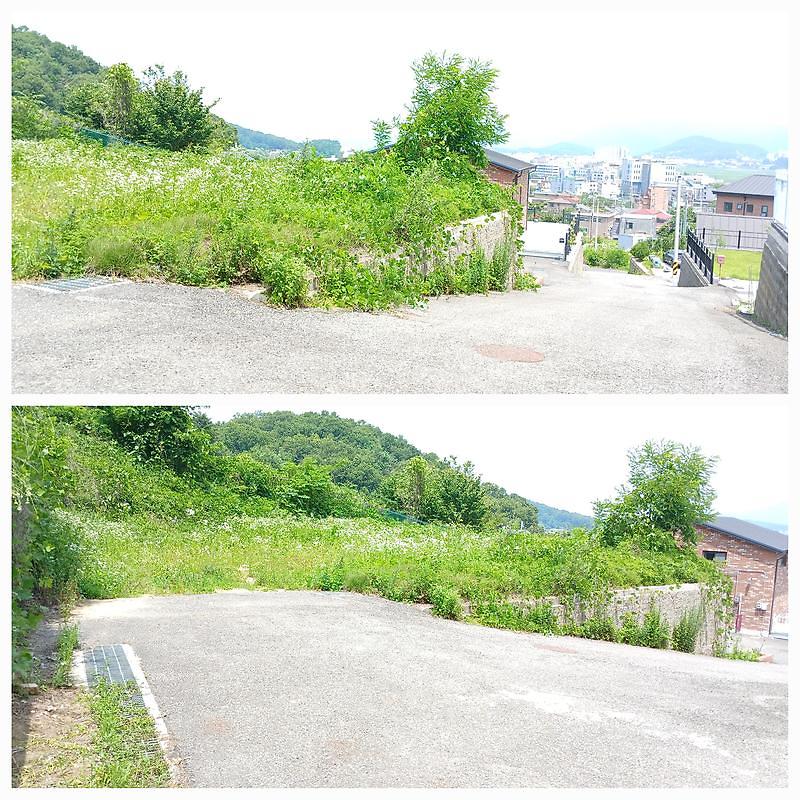 남산리토지1.jpg 이미지