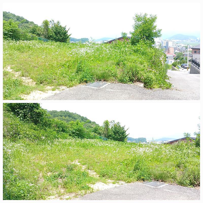 남산리토지2.jpg 이미지