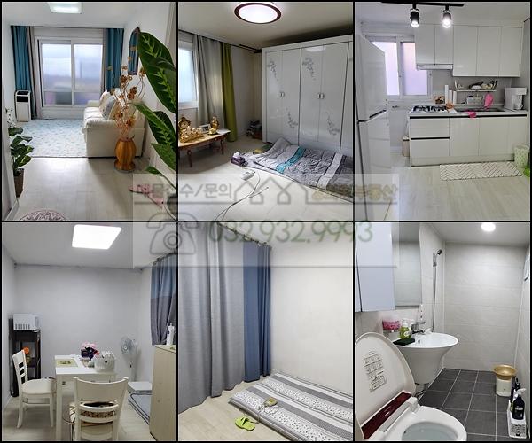 pepe27.jpg 이미지