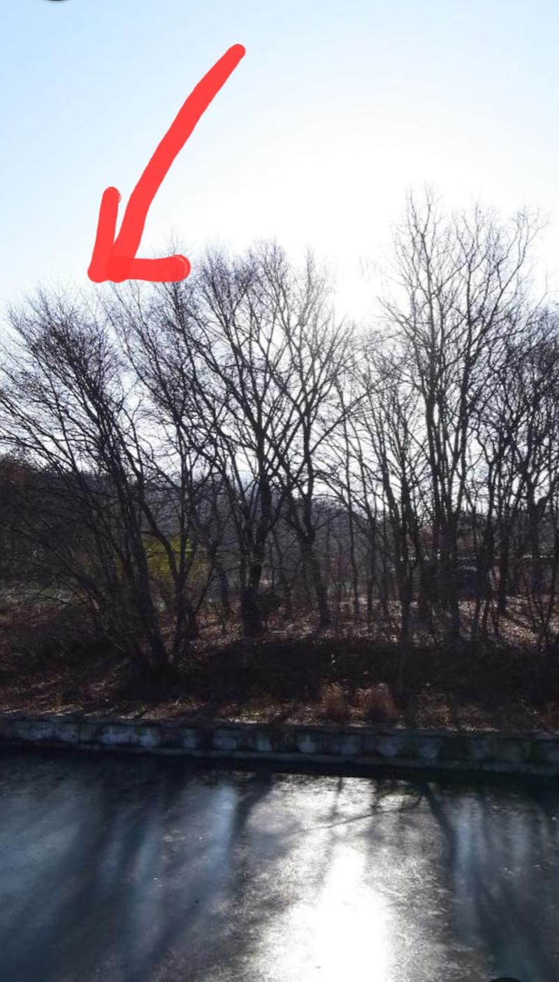 Screenshot_20260101_180007_NAVER_Maps.jpg 이미지