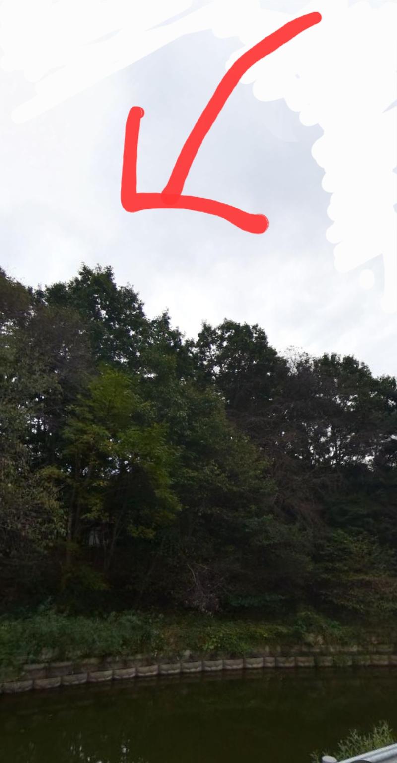 Screenshot_20260101_180023_NAVER_Maps.jpg 이미지