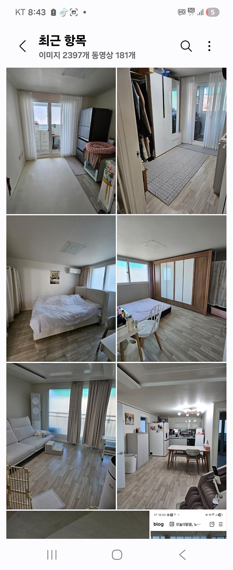 Screenshot_20260220_204308_Gallery.jpg 이미지