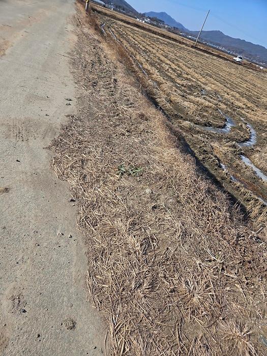 신당리_1.jpg 이미지