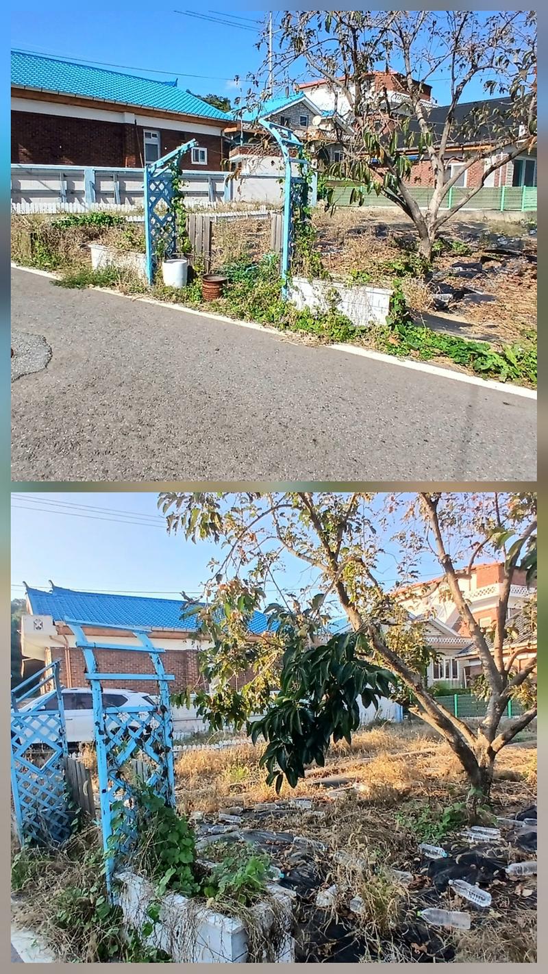 토지2.jpg 이미지