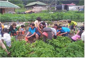 농산물_수확_체험.jpg 사진 