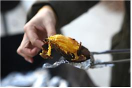 속노랑_고구마와_베베큐_파티체험.jpg 사진 