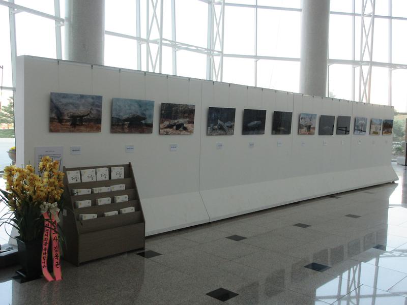 IMG_1249.jpg 이미지