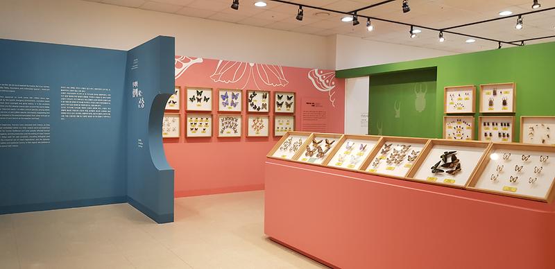 대표사진.jpg 이미지