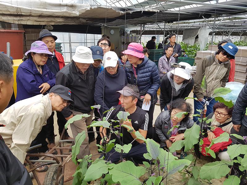 여주_선도농가1