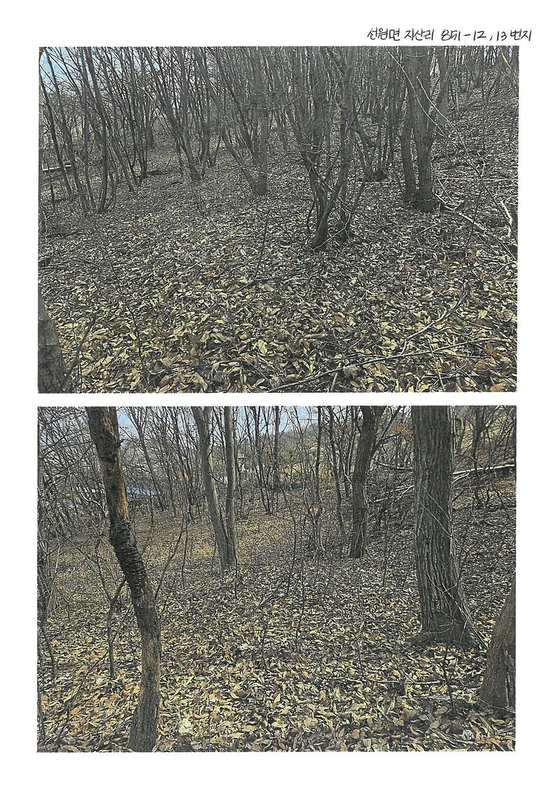 S25C-0i25032410590_0001