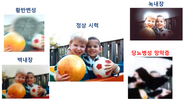 48HG9M7Q0KZX7Y6NG8FS