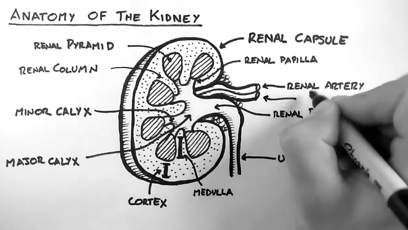 74D6VGSXRJNCSVHNRK0E