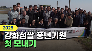 2025 강화섬쌀 풍년기원 첫 모내기🌾 사진