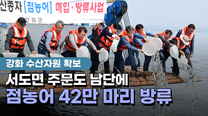 강화 수산자원 확보🌊 서도면 주문도 남단에 점농어 42만 마리 방류🐟 사진