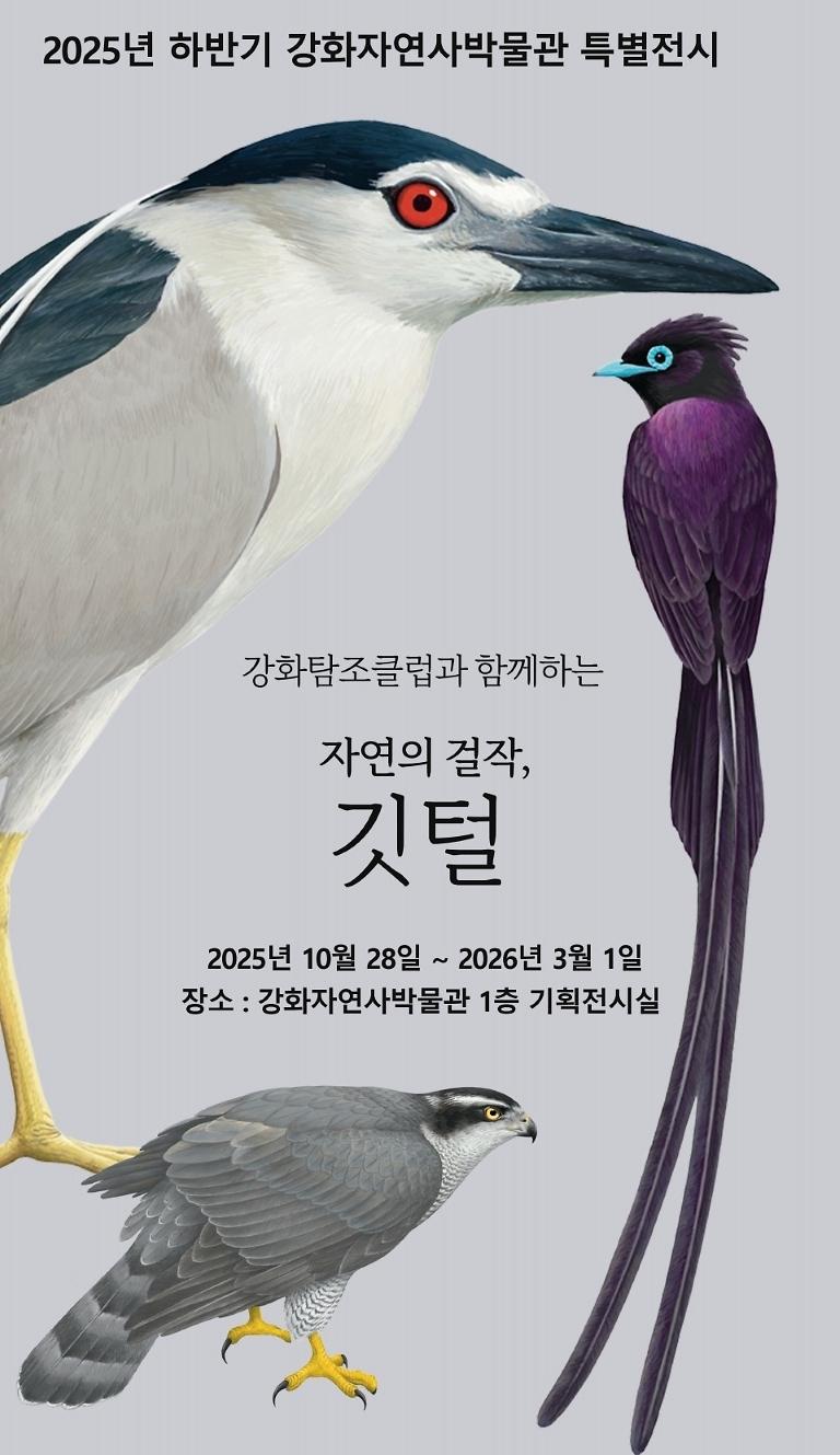 2025_하반기_강화자연사박물관_특별전시_포스터_공지