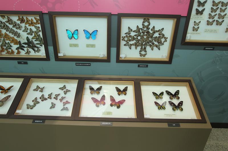 photo_1_20140226070121.jpg 이미지