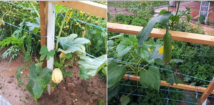 photo_2_20130711134907.jpg 이미지