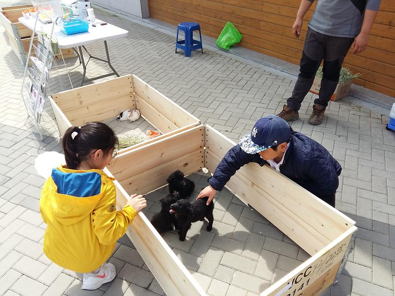 미니동물원.jpg 이미지