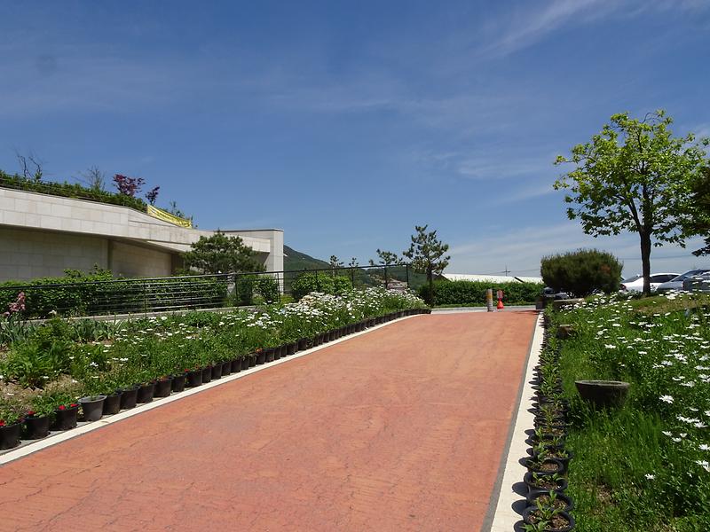 DSC01484.jpg 이미지