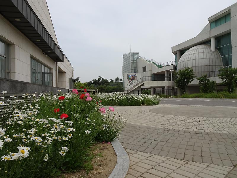 DSC01492.jpg 이미지