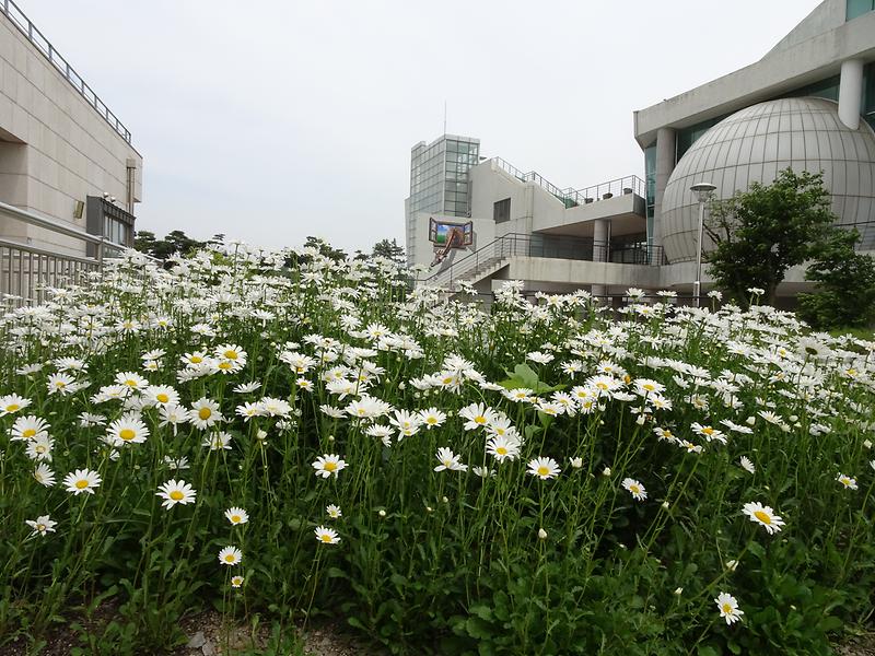 DSC01493.jpg 이미지