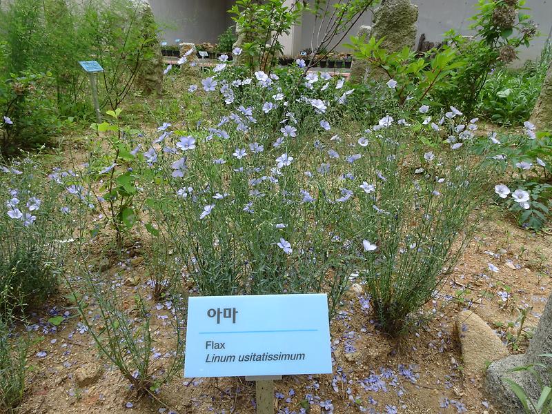 DSC01499.jpg 이미지