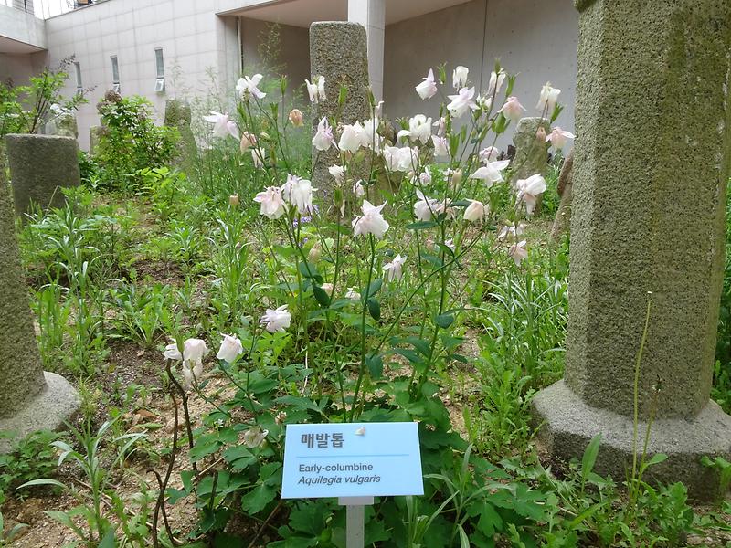 DSC01500.jpg 이미지