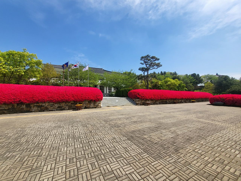 file_20230428013914_318.png 이미지