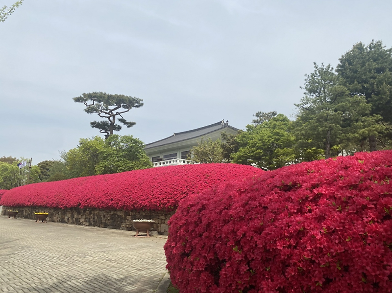 file_20230428013914_962.png 이미지