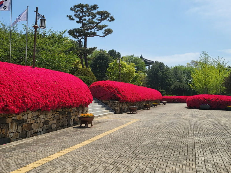 file_20230428013915_834.png 이미지