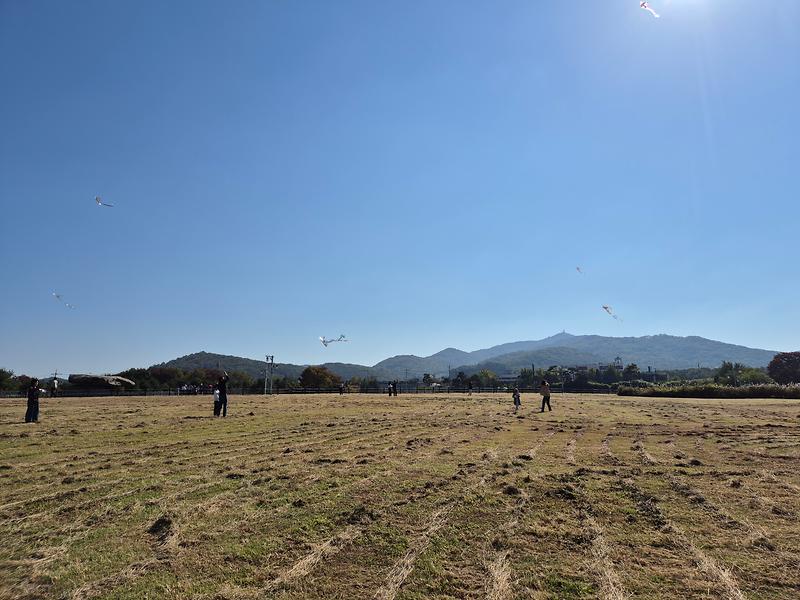 20241026_130534.jpg 이미지