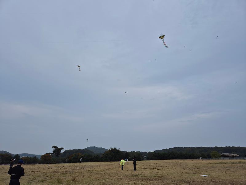 20241027_164035.jpg 이미지