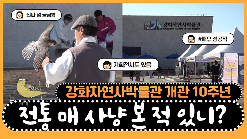 [오늘의 강화군] 전통 매 사냥 본 적 있니?🦅｜강화자연사박물관 개관 10주년 기념행사 사진