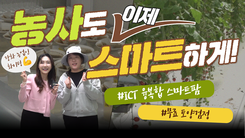[오늘의 강화군] 농사도 이제는 스마트하게✨ㅣ강화 농업의 미래가 바뀐다!👨‍🌾ㅣICT융복합 스마트팜ㅣ무료 토양검정도 신청해 보세요 사진